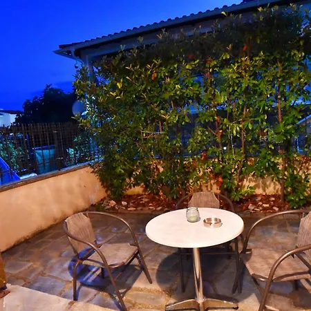 Adam's PalaiónTsiflíkion